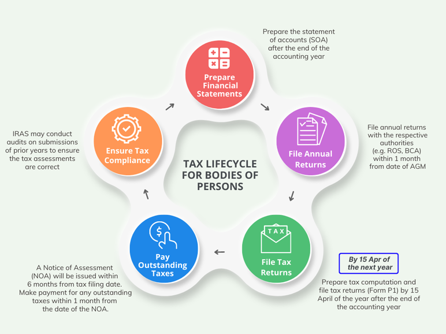 Tax lifecycle of bodies of persons