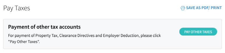 Pay Taxes page with 'PAY OTHER TAXES' button