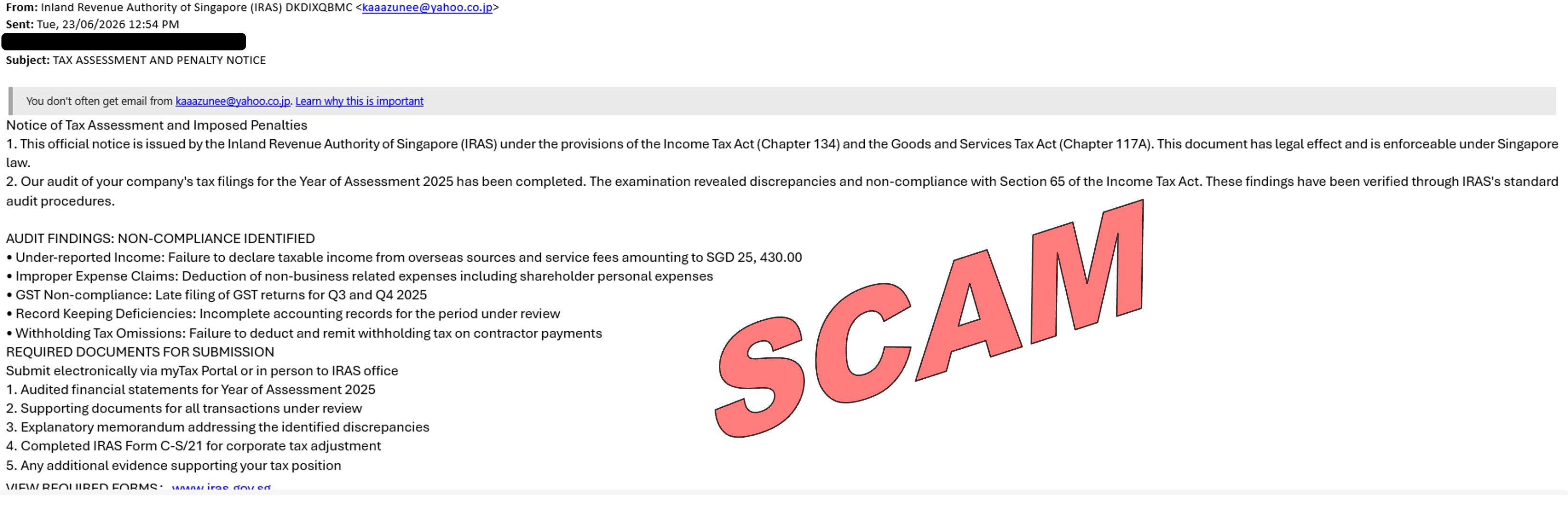 tax filing payment scam_260624