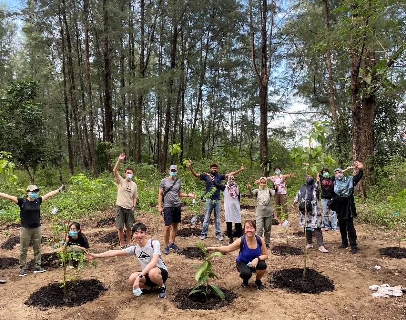 Tree Planting