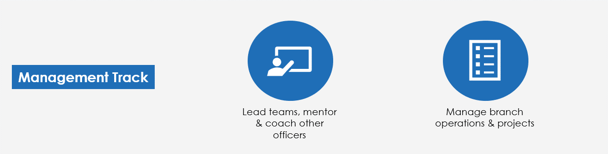 Management Track Management Track